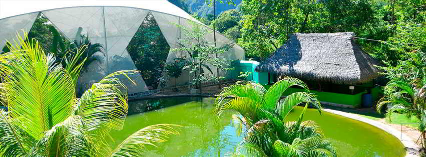 Mariposario Zhaveta Yard - Chanchamayo Mariposario Zhaveta Yard - Chanchamayo